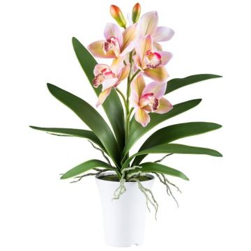 Orchidée Cymbidium en tissu BLORKE dans un cache-pot en mélamine, racines, vert-rose, 55cm