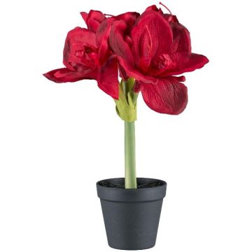 Fleur décorative Amaryllis PRIFT en pot décoratif, rouge foncé, 30cm