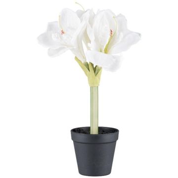 Fleur décorative Amaryllis PRIFT en pot décoratif, blanc, 30cm
