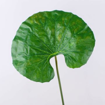 Feuille de nénuphar artificielle ZEREENA, vert, 70cm Feuille de nénuphar artificielle ZEREENA, vert, 70cm