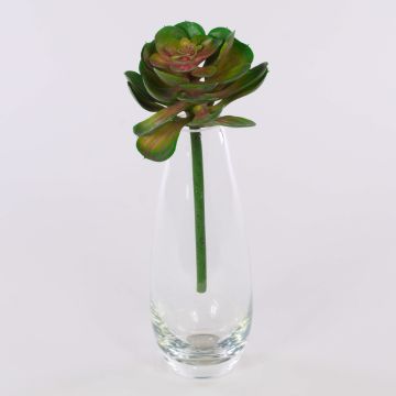 Echeveria gibbiflora en plastique ERNESTO, piquet, vert-rose, 23cm, Ø13cm Echeveria gibbiflora en plastique ERNESTO, piquet, vert-rose, 23cm, Ø13cm