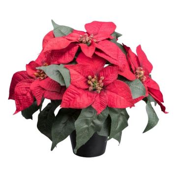 Fleur artificielle Poinsettia FRIZO en pot décoratif, rouge, 26cm