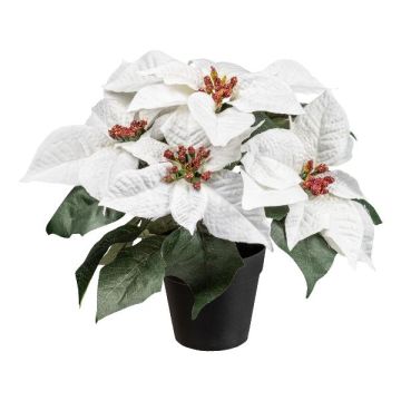 Fleur artificielle Poinsettia FRIZO en pot décoratif, blanc, 26cm
