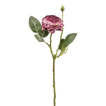 Fleur artificielle Rose-chou VOMTE, aspect sec, mauve, 45cm