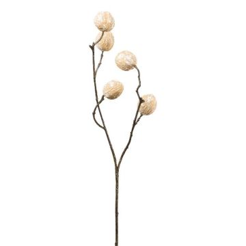 Branche décorative de noyer VOLTER avec des fruits, crème, 70cm