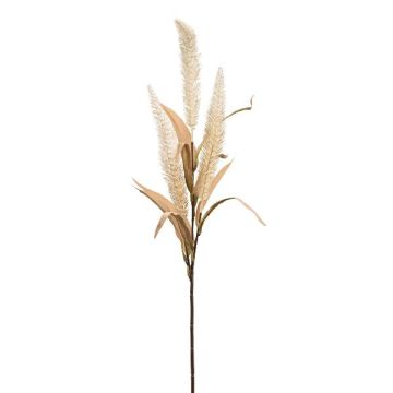 Branche décorative Sétaire KENFIR avec des panicules, crème, 70cm