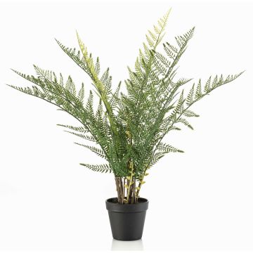 Plante artificielle fougère épée LOWTAN dans un pot décoratif, crossdoor, vert, 65 cm Plante artificielle fougère épée LOWTAN dans un pot décoratif, crossdoor, vert, 65 cm