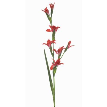 Fleur artificielle, glaïeul GROWEL, corail, 105 cm