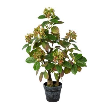 Plante décorative « buisson à perruque » TOLHIN, tronc artificiel, pot décoratif, vert-rose, 60 cm Plante décorative « buisson à perruque » TOLHIN, tronc artificiel, pot décoratif, vert-rose, 60 cm
