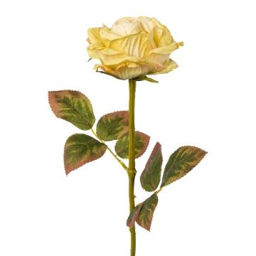 Fleur artificielle Rose DRINT, vert-crème, 60cm, Ø10,5cm Fleur artificielle Rose DRINT, vert-crème, 60cm, Ø10,5cm