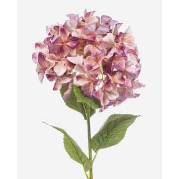 Hortensia artificiel BRITTANY, pêche-violet, 95 cm, Ø 28 cm Hortensia artificiel BRITTANY, pêche-violet, 95 cm, Ø 28 cm