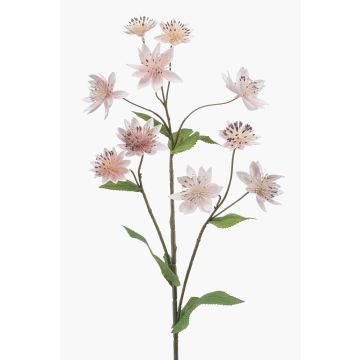 Branche décorative de scabieuse JAXRON, rose clair, 70 cm