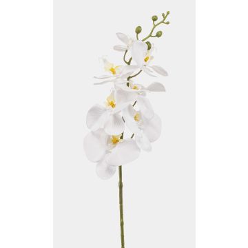 Branche d'orchidée Phalaenopsis artificielle AXELOR, blanche, 85 cm