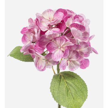 Hortensia artificiel EXORIN, rose, 50 cm, Ø 17 cm Hortensia artificiel EXORIN, rose, 50 cm, Ø 17 cm