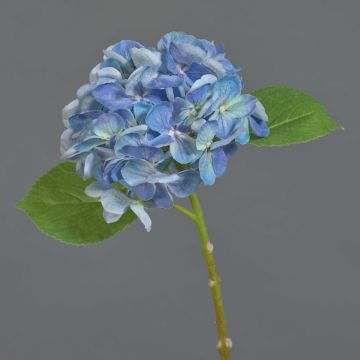 Hortensia artificiel EXORIN, bleu, 50 cm, Ø 17 cm Hortensia artificiel EXORIN, bleu, 50 cm, Ø 17 cm