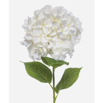 Hortensia artificiel BRITTANY, blanc, 95 cm, Ø 28 cm Hortensia artificiel BRITTANY, blanc, 95 cm, Ø 28 cm