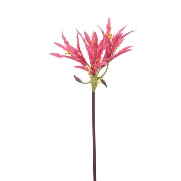 Amaryllis de jardin artificiel XAVLER, rose, 80 cm