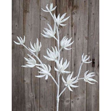 Fausse branche de Sedum MOMOKA, blanc, 110cm Fausse branche de Sedum MOMOKA, blanc, 110cm
