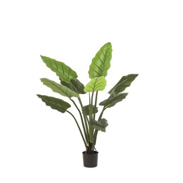 Calathea rufibarba artificiel NUSAKAN, vert, 120cm Calathea rufibarba artificiel NUSAKAN, vert, 120cm