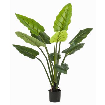 Calathea rufibarba artificiel NUSAKAN, vert, 120cm