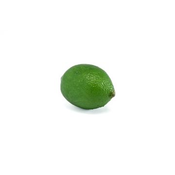 Fruit artificiel Lime NANGA, vert, 6cm Fruit artificiel Lime NANGA, vert, 6cm