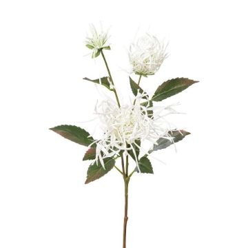 Branche décorative Chrysanthème MIRANE, blanc, 70cm Branche décorative Chrysanthème MIRANE, blanc, 70cm