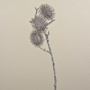 Branche de ramboutan artificielle WARDA, brun-blanc, 60cm