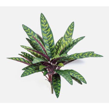 Plante artificielle Calathea Makoyana MANAMI sur tige, vert-rouge, 40 cm Plante artificielle Calathea Makoyana MANAMI sur tige, vert-rouge, 40 cm