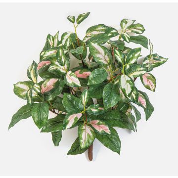 Plante artificielle Hoya carnosa OLEANA sur tige, vert-blanc-rose, 40 cm Plante artificielle Hoya carnosa OLEANA sur tige, vert-blanc-rose, 40 cm
