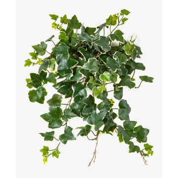 Lierre artificiel LINNEO sur tige, crossdoor, vert-blanc, 50cm Lierre artificiel LINNEO sur tige, crossdoor, vert-blanc, 50cm