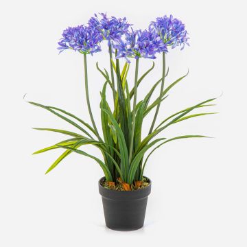 Plante artificielle Agapanthus LESEDA dans un pot décoratif, bleu, 65 cm Plante artificielle Agapanthus LESEDA dans un pot décoratif, bleu, 65 cm
