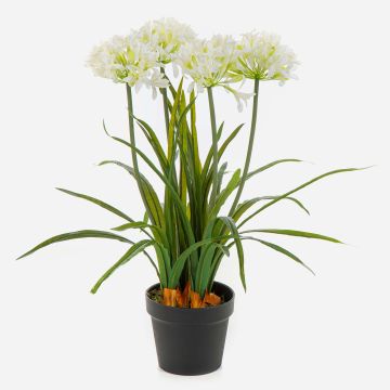 Plante artificielle Agapanthus LESEDA dans un pot décoratif, blanc, 65 cm Plante artificielle Agapanthus LESEDA dans un pot décoratif, blanc, 65 cm