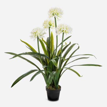 Grande plante artificielle Agapanthus LESEDA dans un pot décoratif, blanc, 105 cm Grande plante artificielle Agapanthus LESEDA dans un pot décoratif, blanc, 105 cm