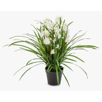 Fleur artificielle orchidée Cymbidium JANILA dans un pot décoratif, blanche, 85 cm Fleur artificielle orchidée Cymbidium JANILA dans un pot décoratif, blanche, 85 cm