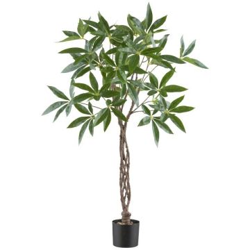 Arbre artificiel Pachira WINMA, tronc tressé, 120 cm