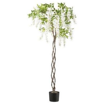 Arbre artificiel glycine SINKE avec fleurs, tronc tressé, blanc, 170 cm