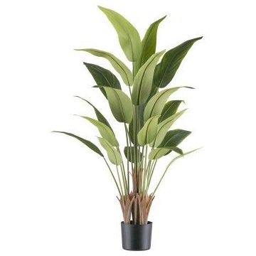 Plante artificielle « Arbre du voyageur » SLANKE, verte, 120 cm Plante artificielle « Arbre du voyageur » SLANKE, verte, 120 cm