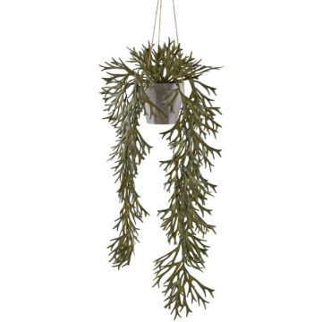 Suspension décorative « fougère à bois » en pot suspendu DRIHER, pot décoratif, vert, 70 cm