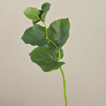 Branche de galax artificielle GRACIANO, vert, 40cm