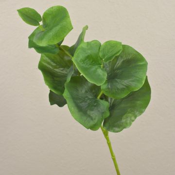 Branche d'eucalyptus artificielle NUNO, vert, 70cm