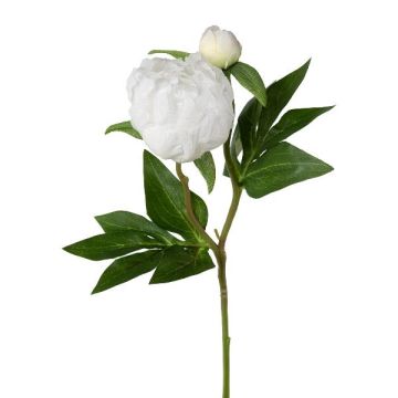 Fleur artificielle Pivoine CORENY, blanc, 45cm Fleur artificielle Pivoine CORENY, blanc, 45cm