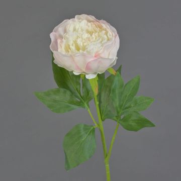 Fleur artificielle Pivoine SEDFY, rose, 60cm Fleur artificielle Pivoine SEDFY, rose, 60cm
