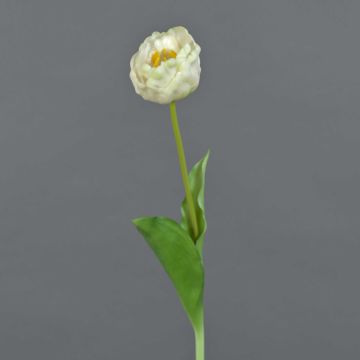 Fleur artificielle Tulipe LURANA, blanc, 55cm, Ø7cm Fleur artificielle Tulipe LURANA, blanc, 55cm, Ø7cm