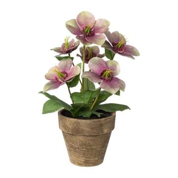 Fleur décorative Rose de Noël ILLUME, pot décoratif, lilas-vert, 30cm