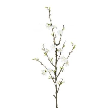 Branche de fleurs de cognassier artificielle SLORNE avec des fleurs, blanc, 85cm
