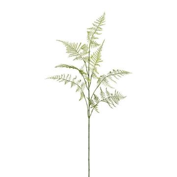 Branche artificielle Asparagus Plumosus PLAVIN, vert, 85cm