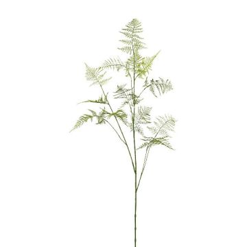 Branche artificielle Asparagus Plumosus PLAVIN, vert, 130cm