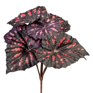 Plante artificielle Begonia rex MELDINA, piquet, noir-rouge, 25cm