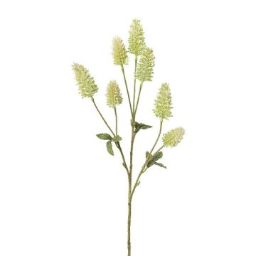 Branche artificielle de trèfle blanc TREVLA avec des fleurs, vert, 55cm Branche artificielle de trèfle blanc TREVLA avec des fleurs, vert, 55cm
