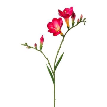 Branche décorative Freesia FONDYL, rose fuchsia, 70cm